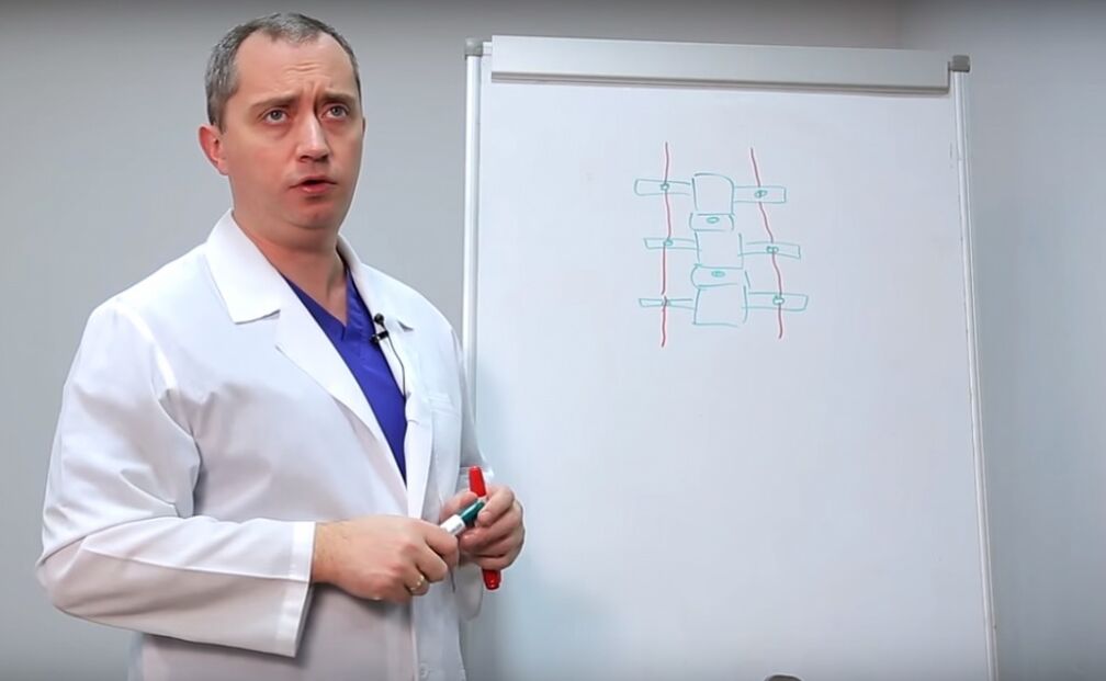 ექიმი აჩვენებს ხერხემლის სტრუქტურას